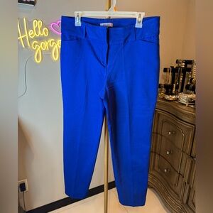Premise Royal Blue Garment